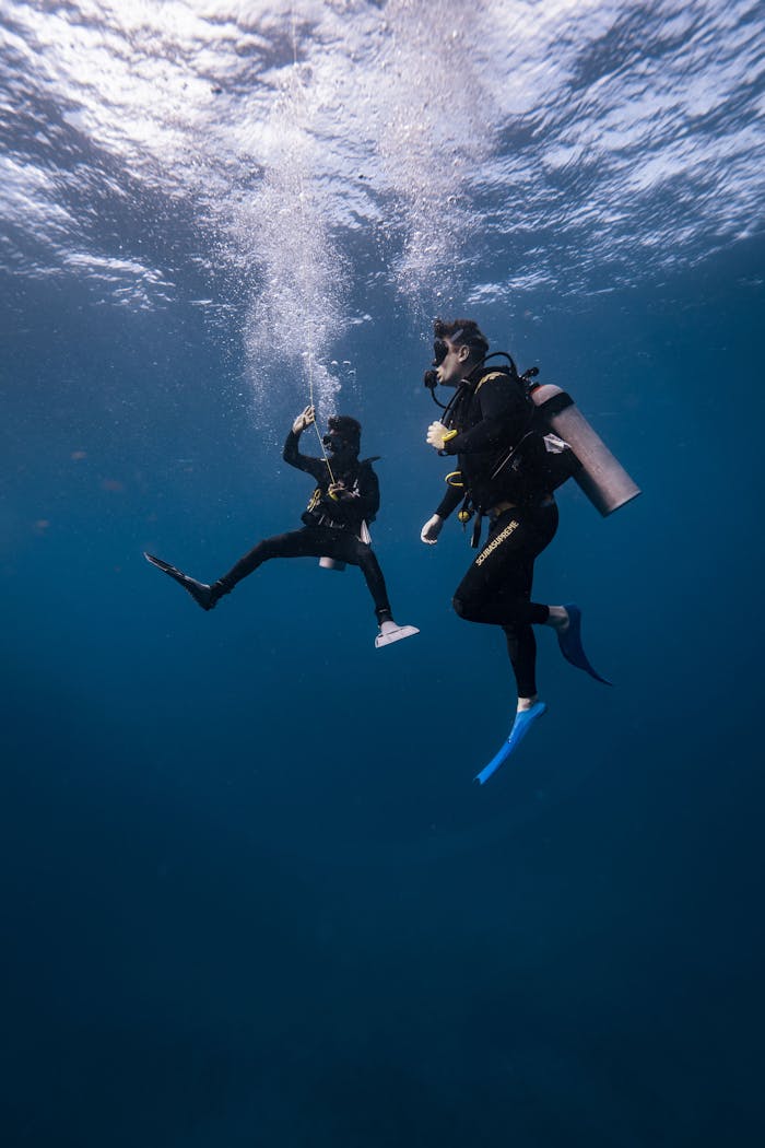 Two scuba divers explore underwater world in clear blue ocean waters.